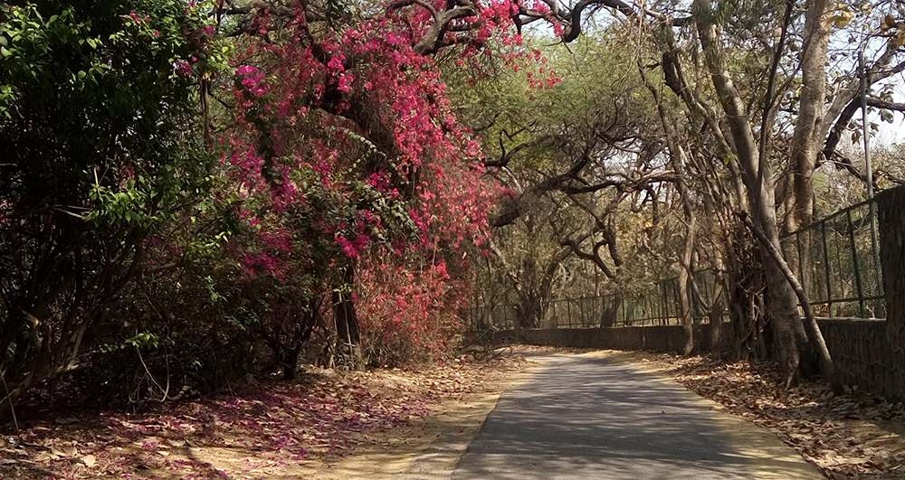 Bhuli Bhatiyari Ka Mahal