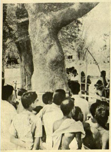 Rath Yatra, Puri