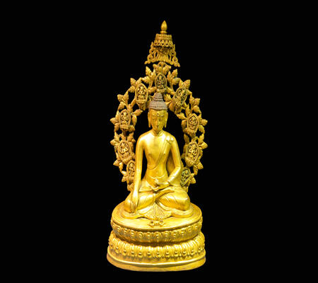 CSM-3000-SCU-Buddha-front-14